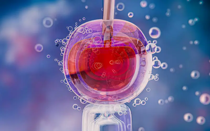 Stem Cells Regeneration
